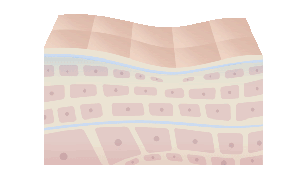 浸透